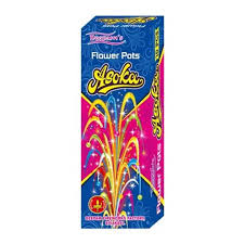 Flower Pot Ashoka (5pcs)